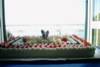 Torte ed eventi