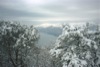 Portofino Vetta Innevato