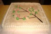 Torte ed eventi