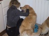 22 Aprile 2003 - Tami e Rocky