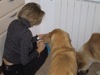 22 Aprile 2003 - Tami e Rocky