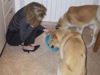 22 Aprile 2003 - Tami e Rocky