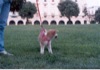 03 Luglio 2002 - P.zza della Vittoria, Genova