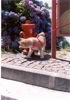 10 Luglio 2002 - Portofino Vetta