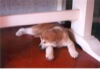 12 Luglio 2002 - In casa