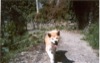 04 Agosto 2002 - Passeggiata a Testana