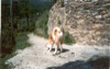 04 Agosto 2002 - Passeggiata a Testana