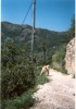 04 Agosto 2002 - Passeggiata a Testana