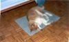 06 Settembte 2002 - A Casa