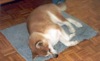 06 Settembte 2002 - A Casa