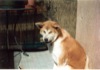 06 Settembte 2002 - A Casa