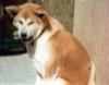 06 Settembte 2002 - A Casa