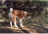 04 Ottobre 2002 - Passeggiata con Kumiko