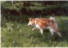 04 Ottobre 2002 - Passeggiata con Kumiko