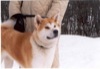 08 Gennaio 2003 - Champoluc