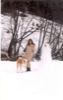 08 Gennaio 2003 - Champoluc