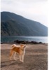 28 Gennaio 2003 - Camogli
